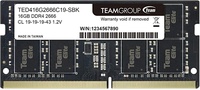 Team Group TED416G2666C19-S01/SBK 16Gb