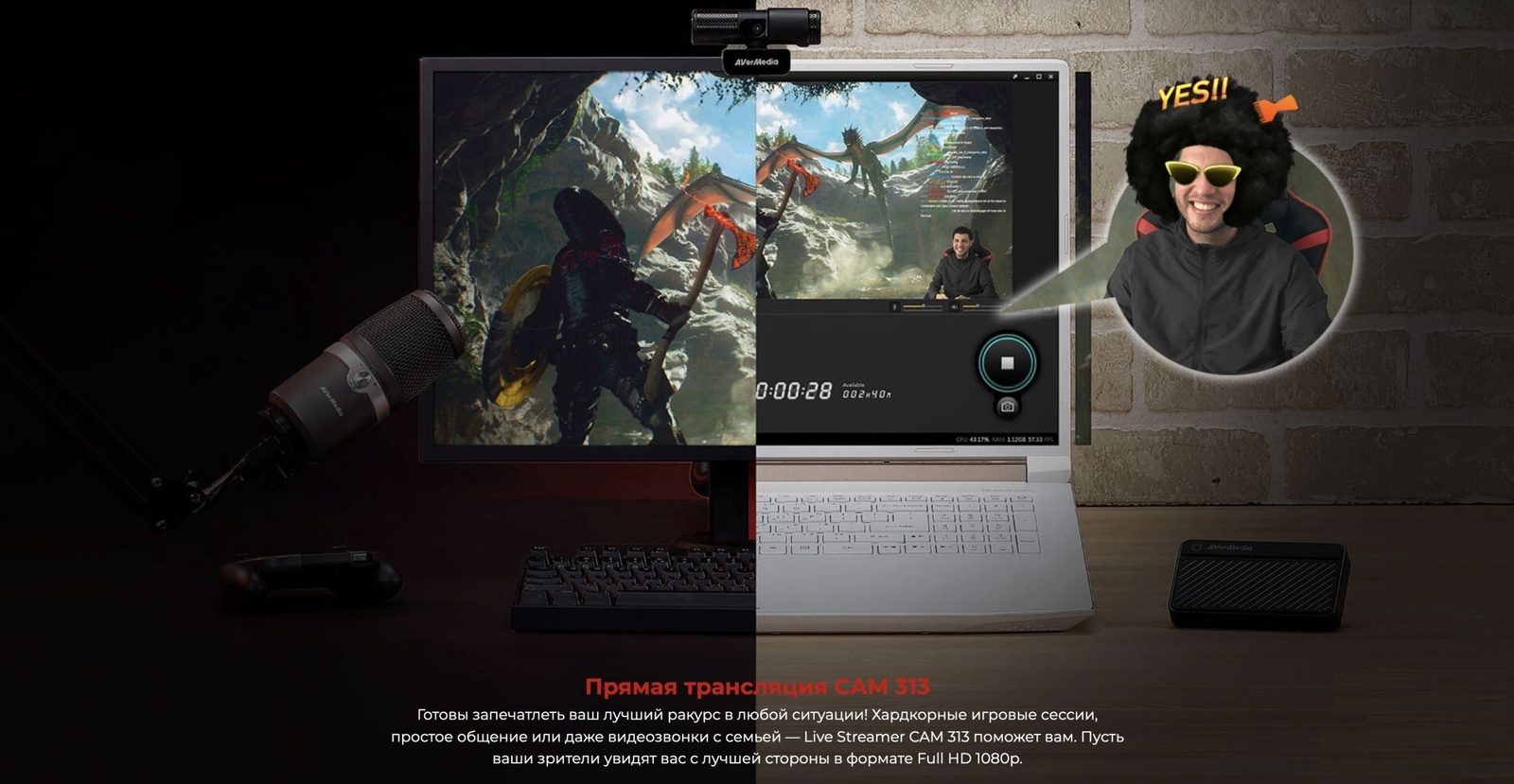 AverMedia BO311