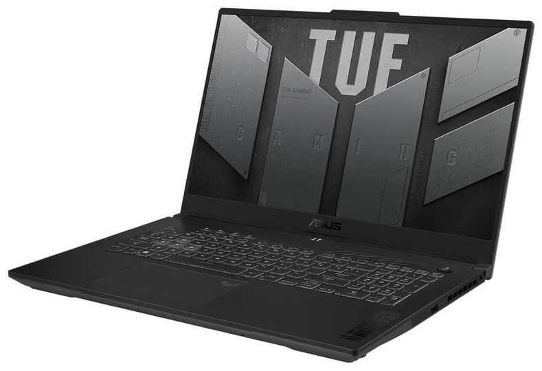 ASUS TUF Gaming F17 17.3&quot; / 16 Гб / SSD 1000 Гб / DOS / FX707VI-LL055 / 90NR0FI5-M004J0