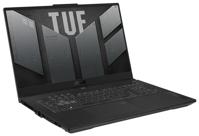 ASUS TUF Gaming F17 17.3&quot; / 16 Гб / SSD 1000 Гб / DOS / FX707VI-LL055 / 90NR0FI5-M004J0