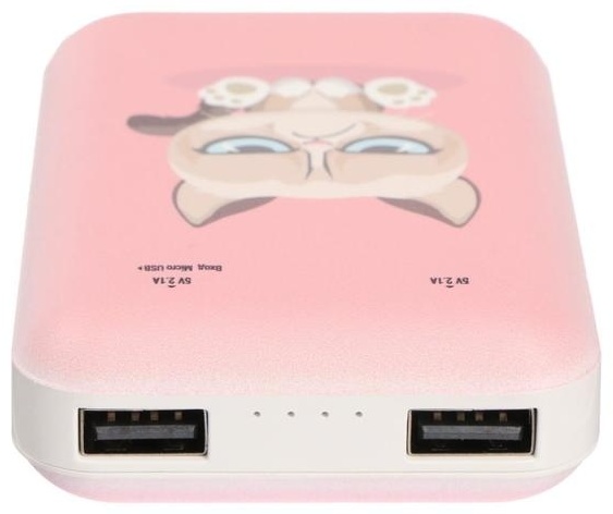 Ritmix RPB-10007 Grumpy Cat 10000 mAh