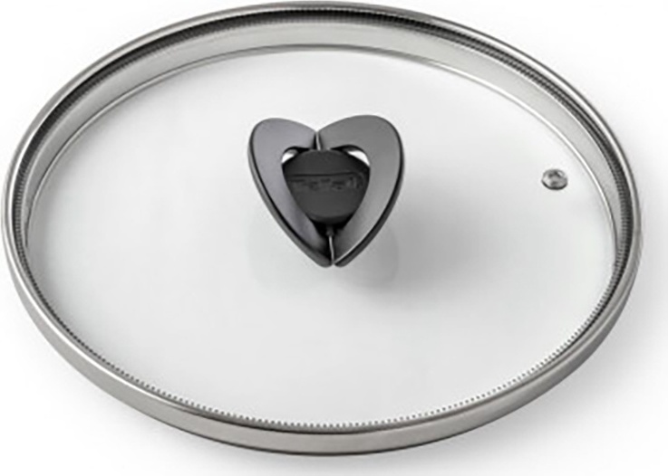 Крышка Tefal 4199722 22 см, нержавеющая сталь, стекло