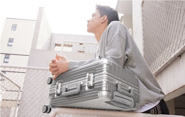 Чемодан NinetyGo NinetyGo All-round Guard Luggage 24 61 л, Space Silver, серый поликарбонат, алюминий 61 л серебристый