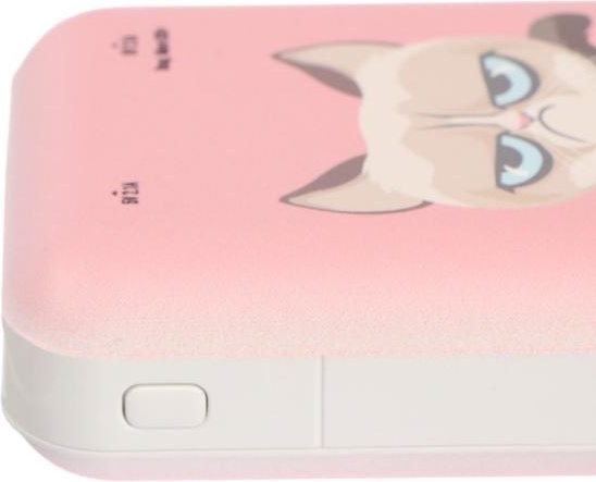 Ritmix RPB-10007 Grumpy Cat 10000 mAh