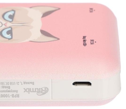 Ritmix RPB-10007 Grumpy Cat 10000 mAh