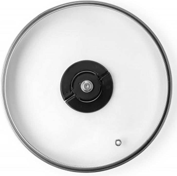 Крышка Tefal 4199722 22 см, нержавеющая сталь, стекло