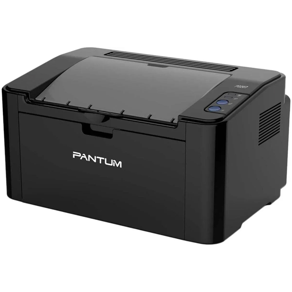 Принтер Pantum P2516, черный