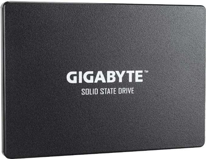 Жесткий диск Gigabyte GP-GSTFS31100TNTD 1000GB