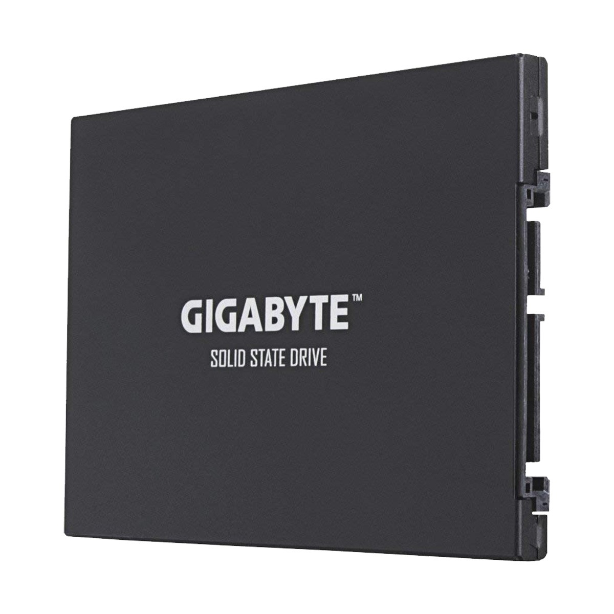 Жесткий диск GIGABYTE GP-GSTFS31240GNTD 240Gb Black