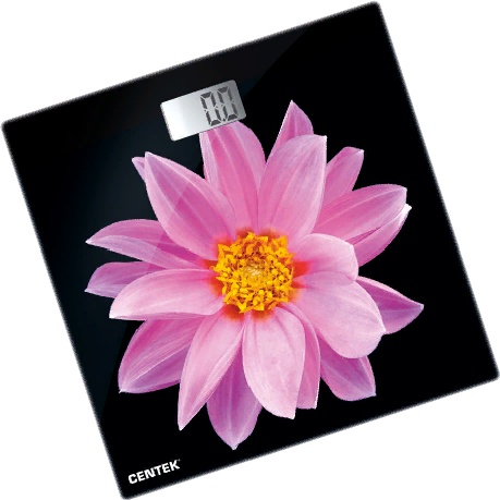 Напольные весы Centek CT-2416 Pink Flower черно-розовые