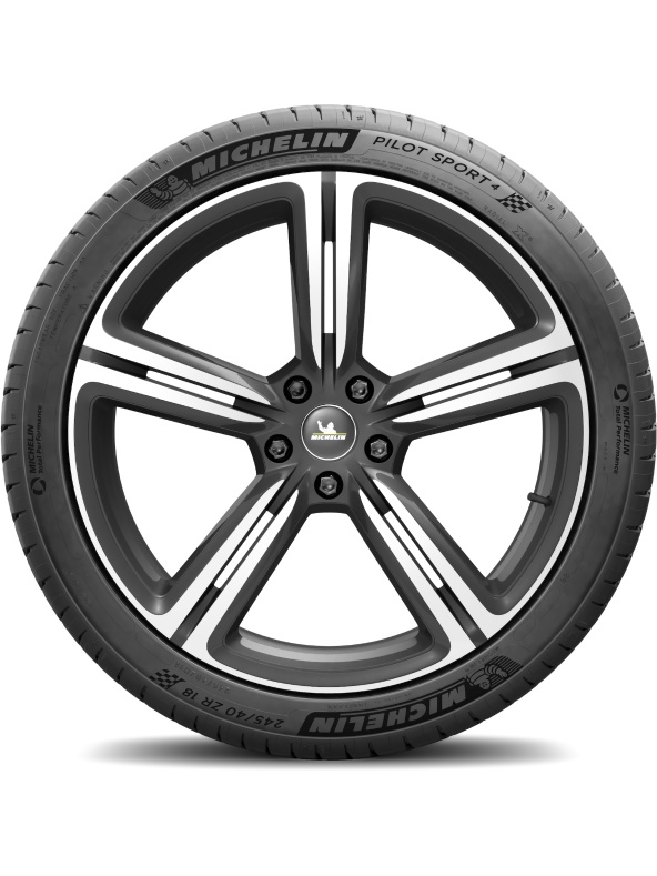 Автошина Michelin Pilot Sport 4 315/30 R21 105Y