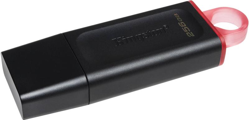 USB Flash карта Kingston DTX/256GB, 256Gb, черная