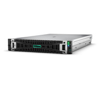 Сервер HP Enterprise DL380 Gen11/1 Xeon Silver 4410Y, P52560-421, серый