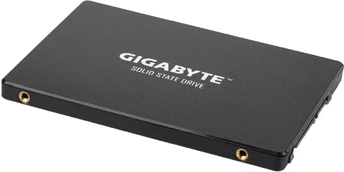 Жесткий диск Gigabyte GP-GSTFS31100TNTD 1000GB